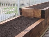 Raised youth centre vegetable patch