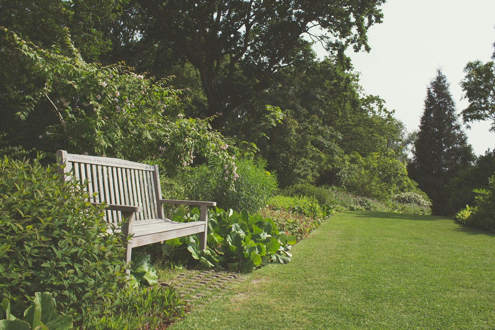 Garden bench and lawn